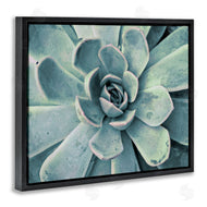 Susan Bryant | Green Cactus Succulent