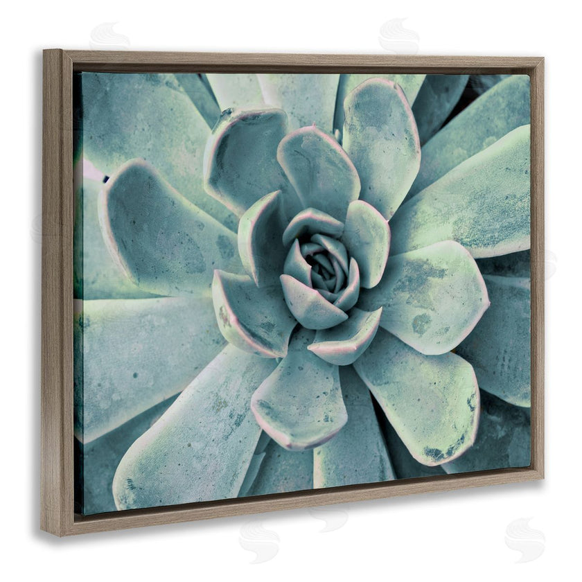 Susan Bryant | Green Cactus Succulent