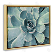 Susan Bryant | Green Cactus Succulent