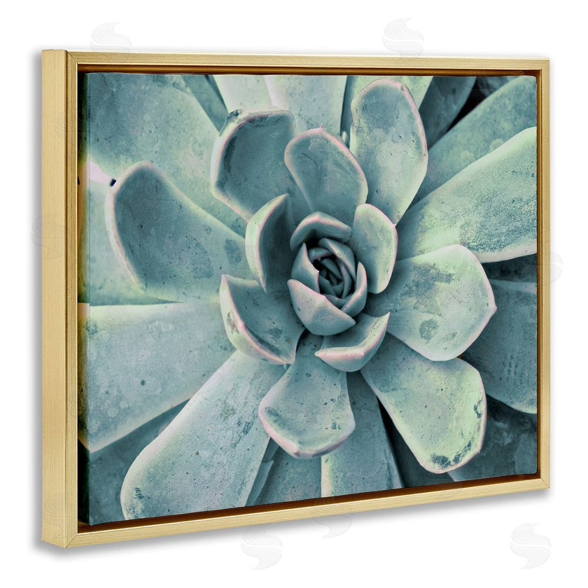 Susan Bryant | Green Cactus Succulent