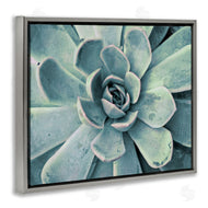 Susan Bryant | Green Cactus Succulent