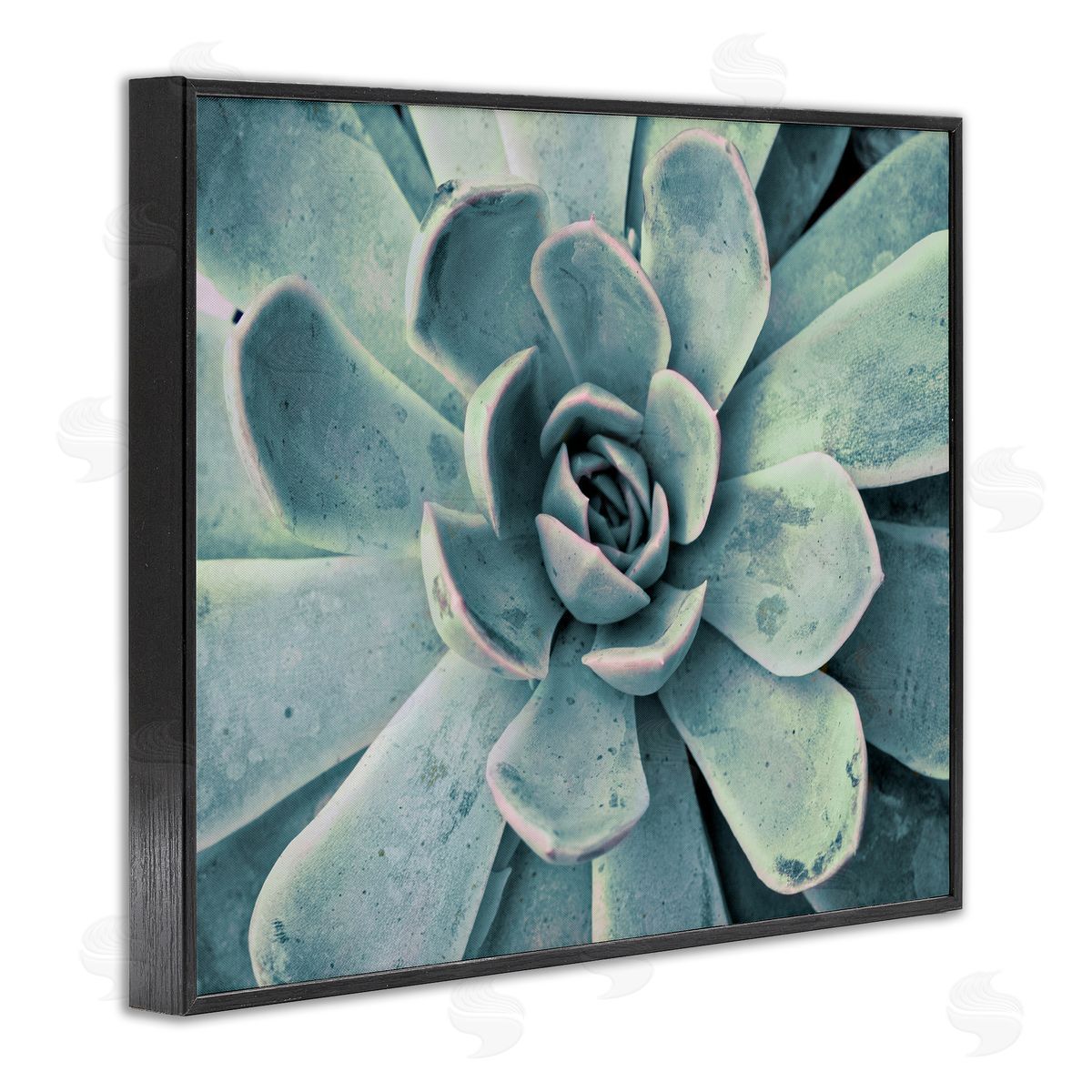 Green Cactus Succulent Black Frame Print Wall Art, Home Decor by Susan Bryant