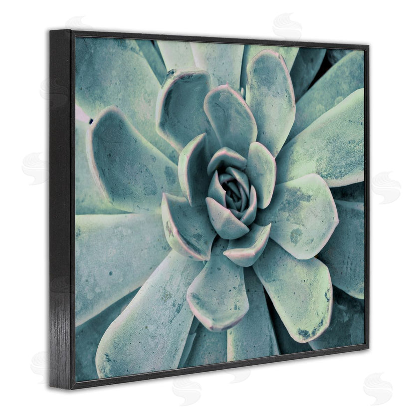 Susan Bryant | Green Cactus Succulent