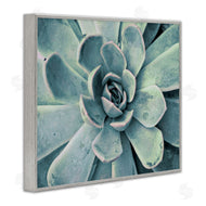 Susan Bryant | Green Cactus Succulent