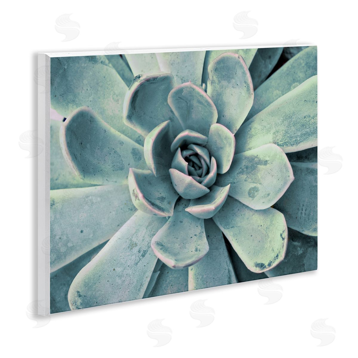 Green Cactus Succulent Wood Plaque Wall Art, Home Decor by Susan Bryant