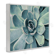 Susan Bryant | Green Cactus Succulent