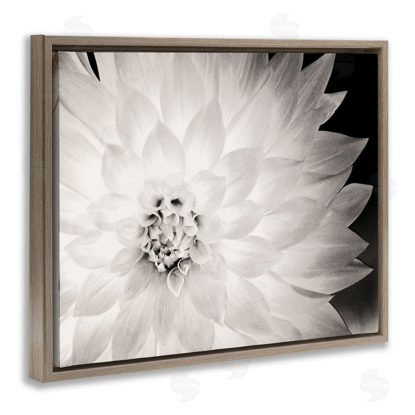 Gail Peck | Strong Dahlia Petals