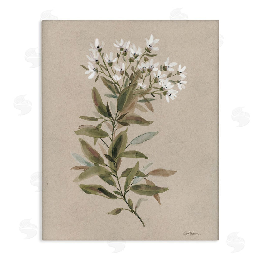 Carol Robinson | Watercolor Wildflower Sprig
