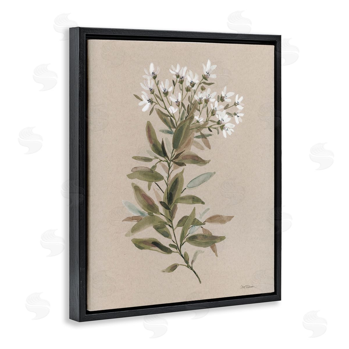 Watercolor Wildflower Sprig Black Floating Frame Canvas Wall Art, Home Decor by Carol Robinson