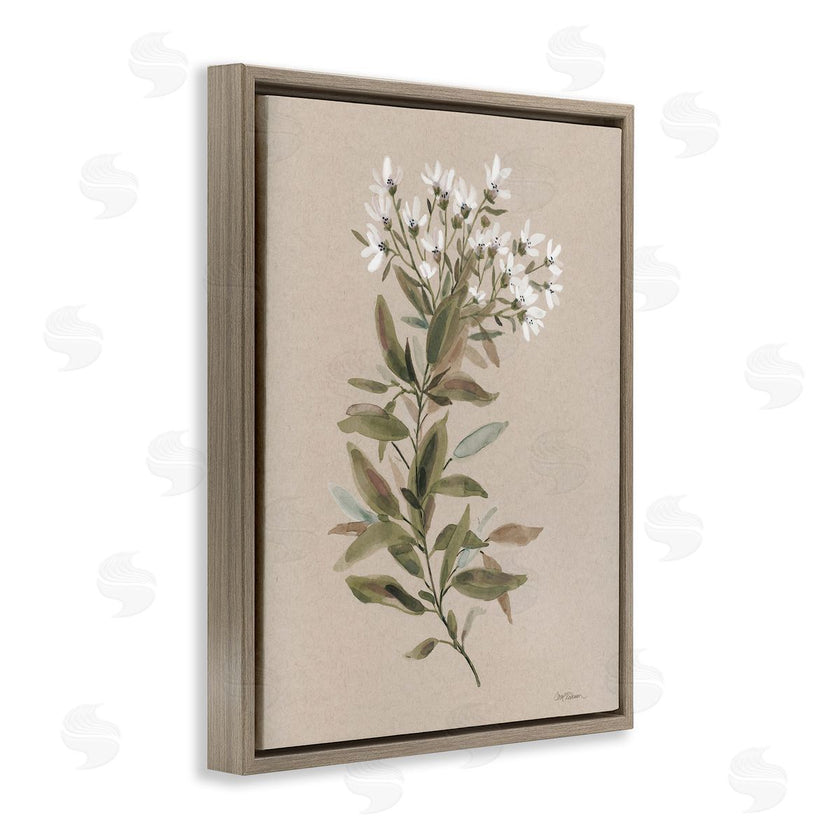 Carol Robinson | Watercolor Wildflower Sprig
