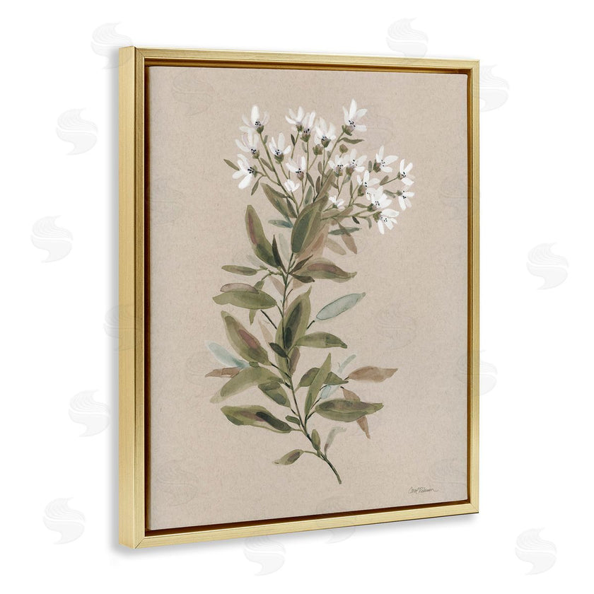 Carol Robinson | Watercolor Wildflower Sprig