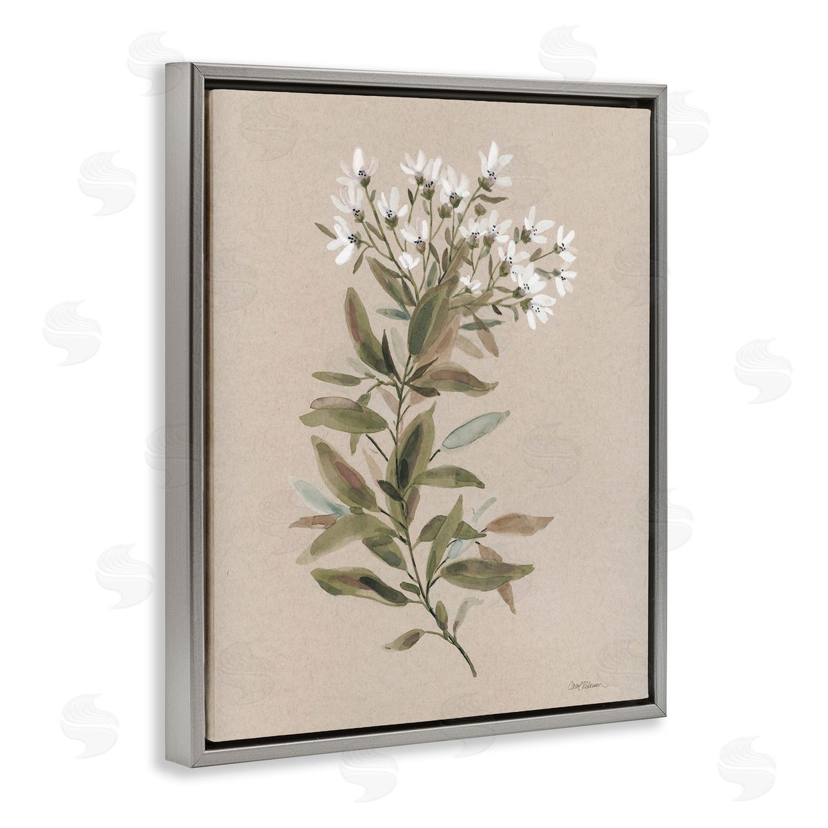 Watercolor Wildflower Sprig Grey Floating Frame Canvas Wall Art, Home Decor by Carol Robinson