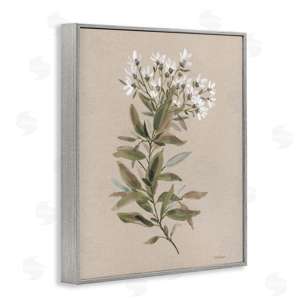 Watercolor Wildflower Sprig Grey Frame Print Wall Art, Home Decor by Carol Robinson