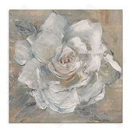 Sally Swatland | Paint Streak Rose