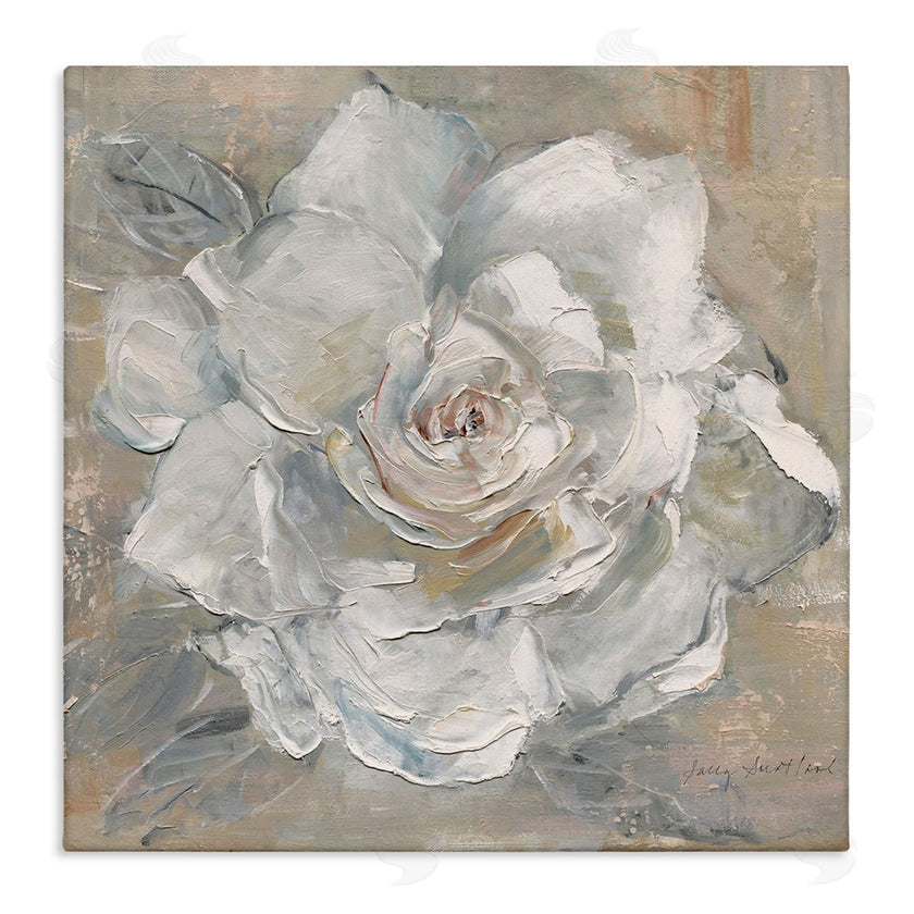 Sally Swatland | Paint Streak Rose