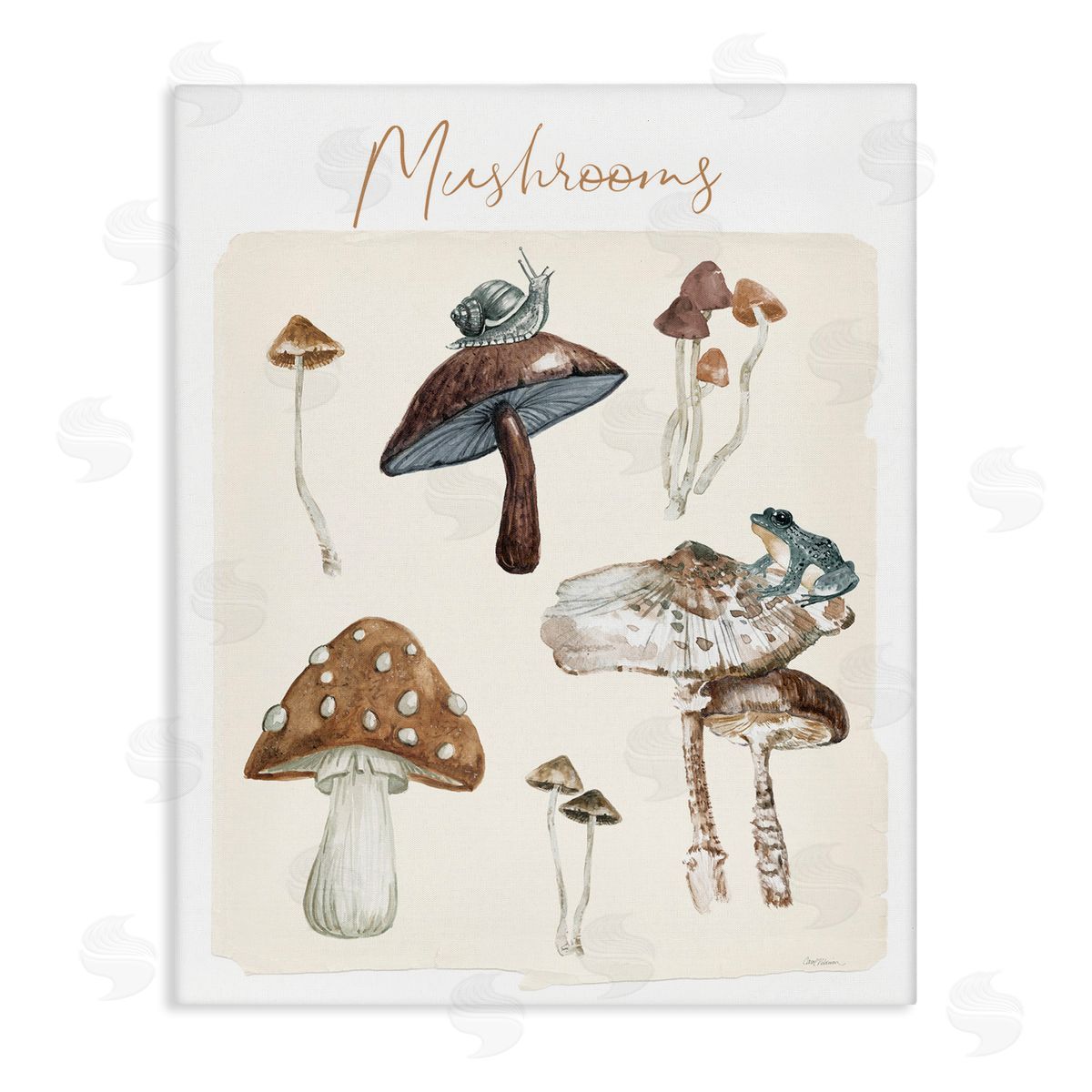 Assorted Mushrooms Study Canvas Wall Art, Home Decor by Carol Robinson