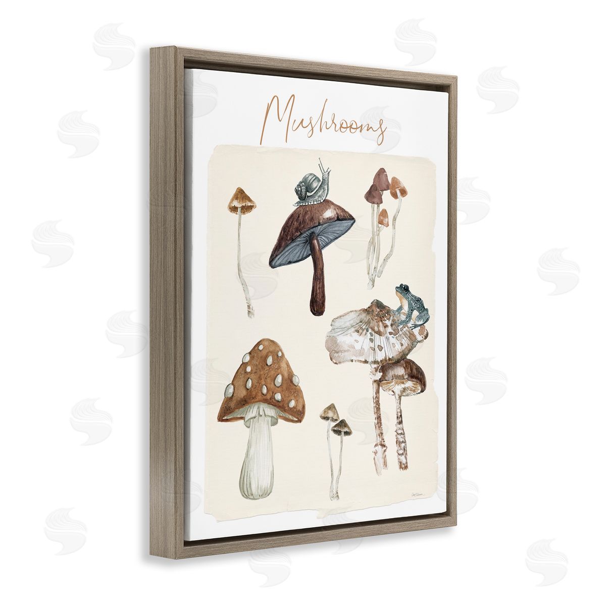 Assorted Mushrooms Study Brown Floating Frame Canvas Wall Art, Home Decor by Carol Robinson