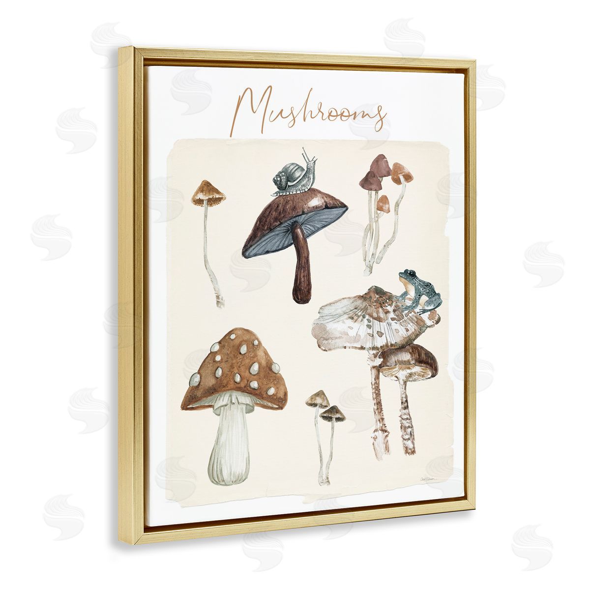 Assorted Mushrooms Study Gold Floating Frame Canvas Wall Art, Home Decor by Carol Robinson