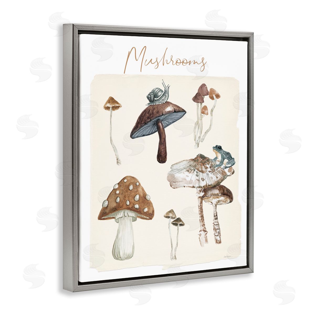 Assorted Mushrooms Study Grey Floating Frame Canvas Wall Art, Home Decor by Carol Robinson