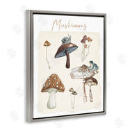 Carol Robinson | Assorted Mushrooms Study