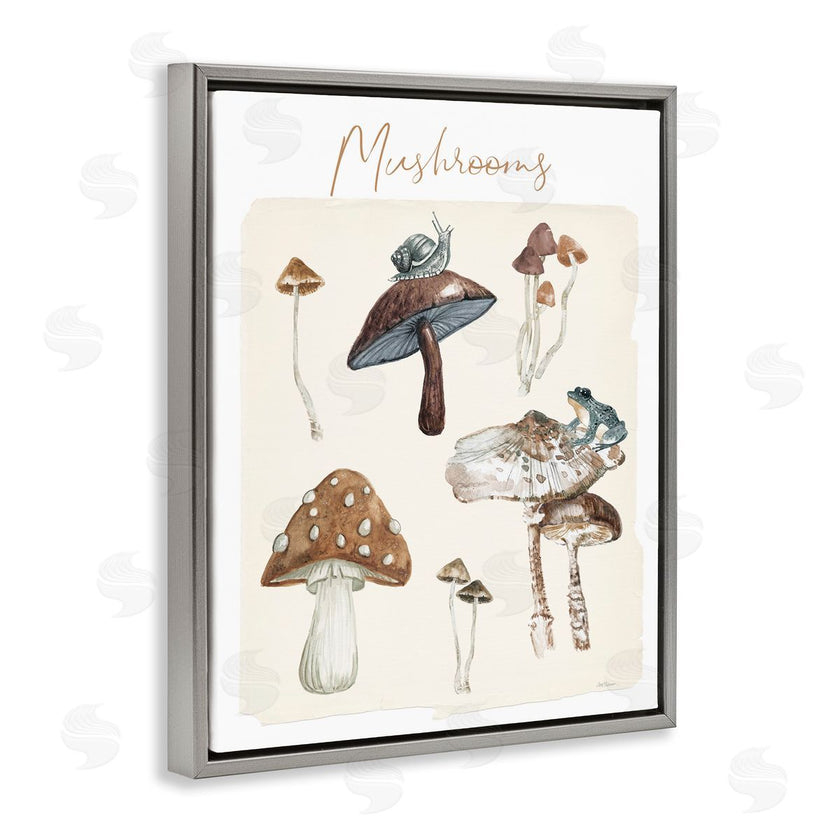 Carol Robinson | Assorted Mushrooms Study