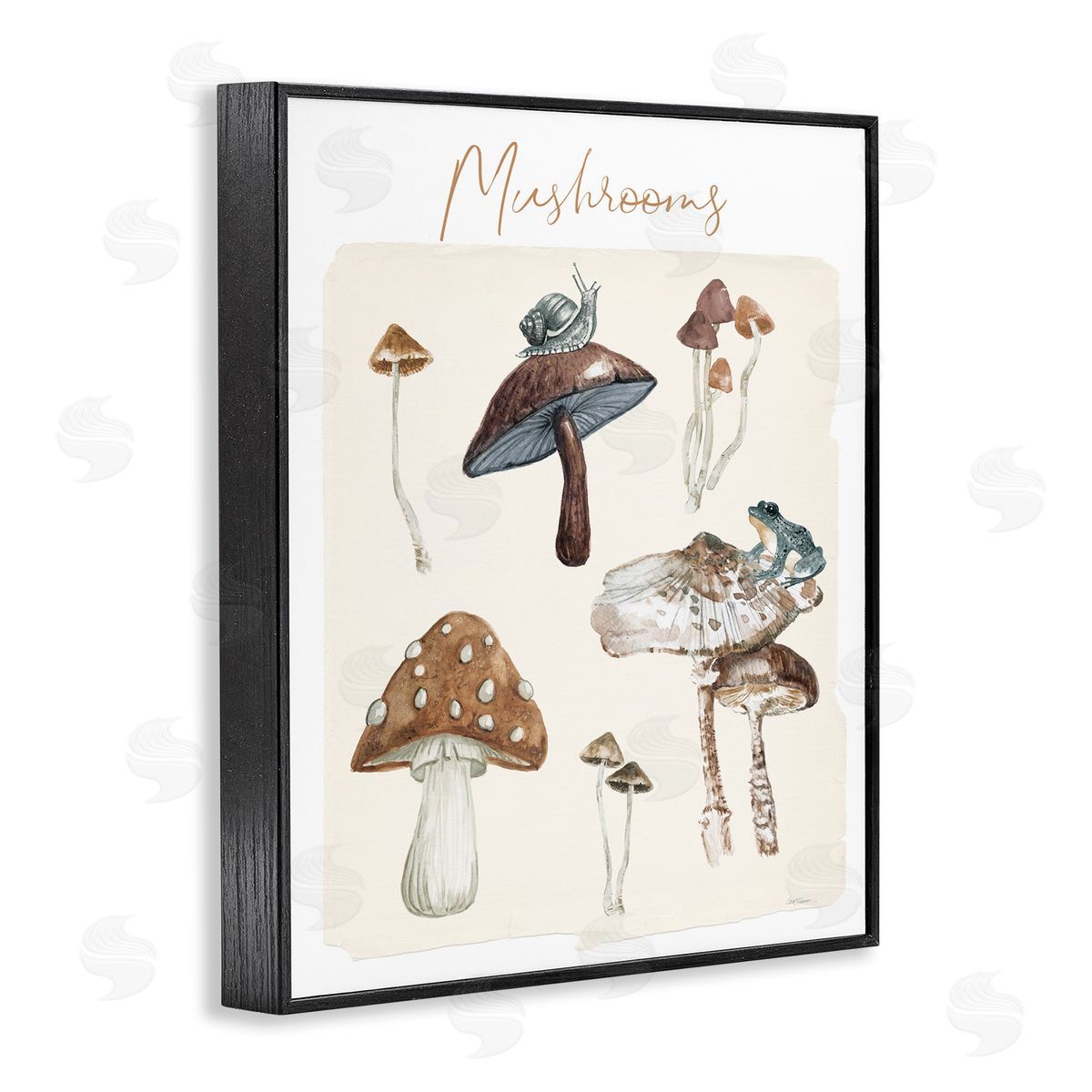 Assorted Mushrooms Study Black Frame Print Wall Art, Home Decor by Carol Robinson
