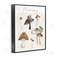 Carol Robinson | Assorted Mushrooms Study