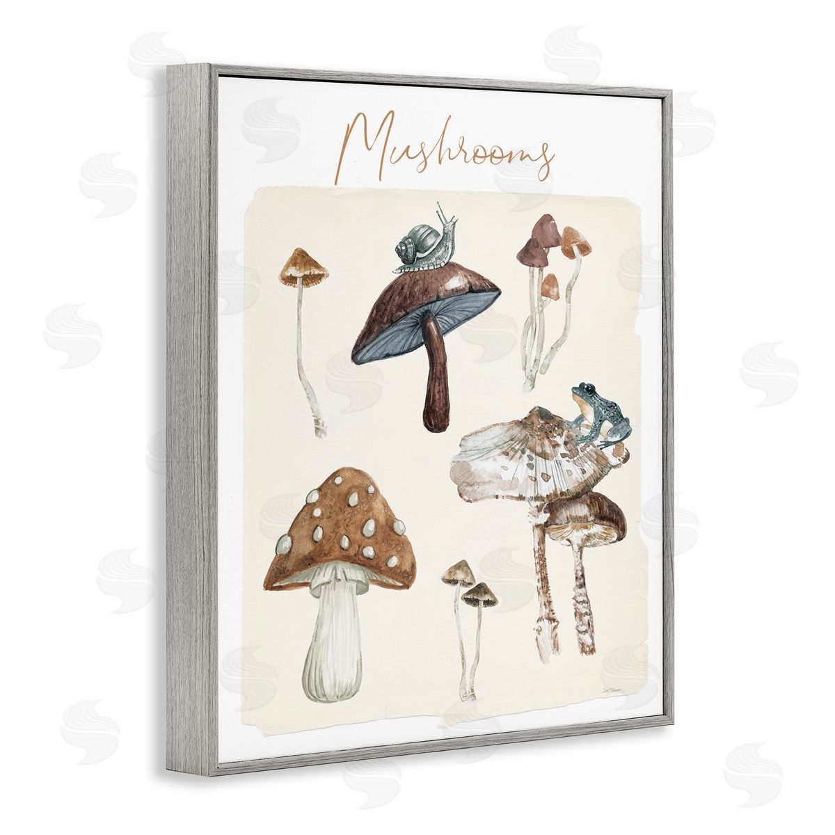 Assorted Mushrooms Study Grey Frame Print Wall Art, Home Decor by Carol Robinson