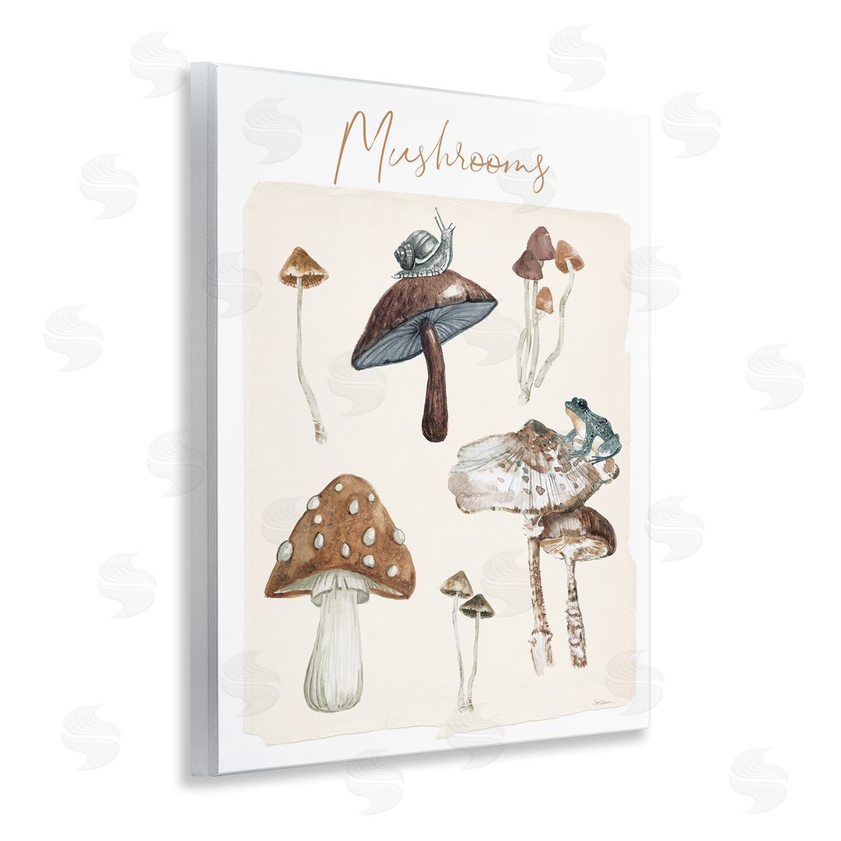 Assorted Mushrooms Study Wood Plaque Wall Art, Home Decor by Carol Robinson