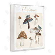 Carol Robinson | Assorted Mushrooms Study