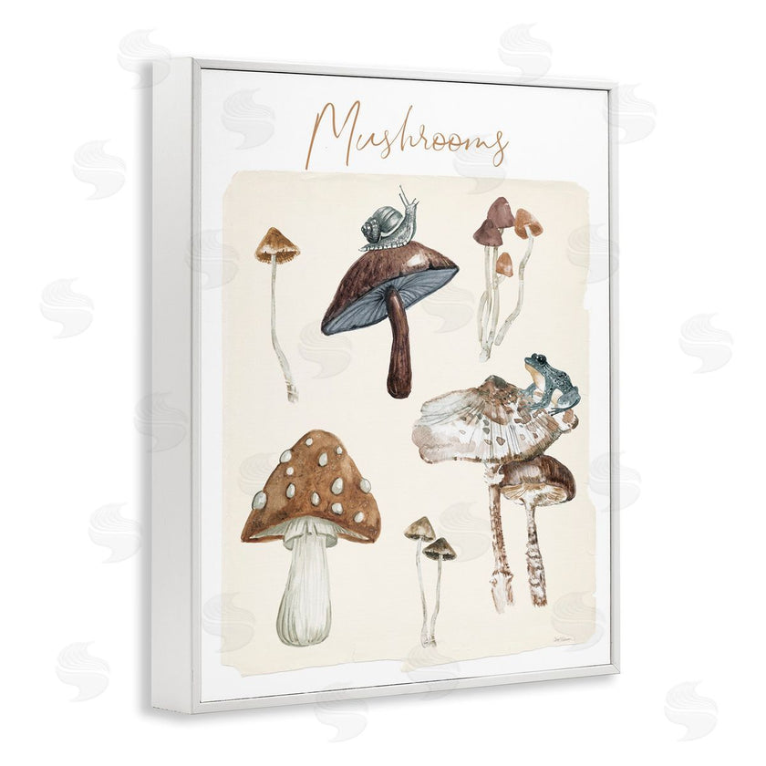 Carol Robinson | Assorted Mushrooms Study