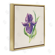 Kristy Rice | Easter Iris Bloom