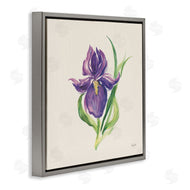 Kristy Rice | Easter Iris Bloom