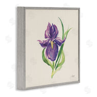 Kristy Rice | Easter Iris Bloom