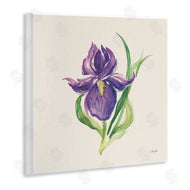 Kristy Rice | Easter Iris Bloom