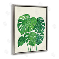 Farida Zaman | Green Monstera Bundle