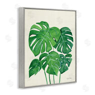 Farida Zaman | Green Monstera Bundle