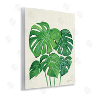 Farida Zaman | Green Monstera Bundle