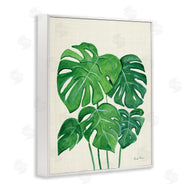 Farida Zaman | Green Monstera Bundle