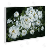 Yvette St. Amant | Midnight Blooming Roses