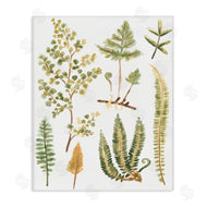 June Erica Vess | Wild Forest Ferns