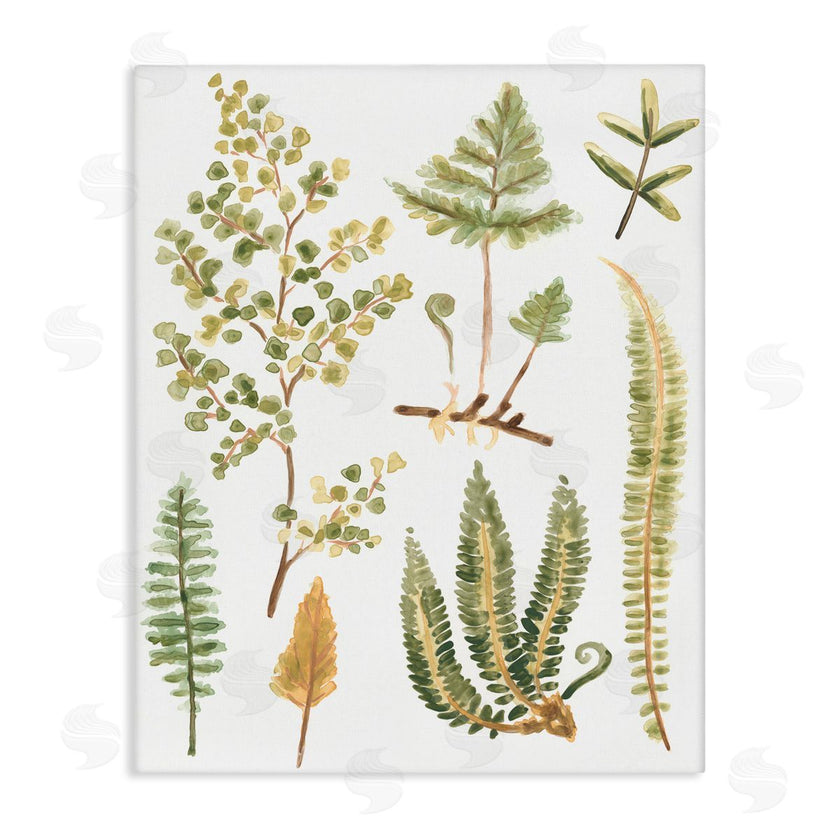 June Erica Vess | Wild Forest Ferns
