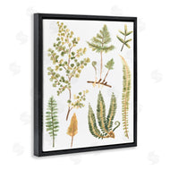 June Erica Vess | Wild Forest Ferns