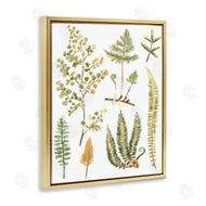 June Erica Vess | Wild Forest Ferns