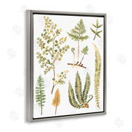 June Erica Vess | Wild Forest Ferns