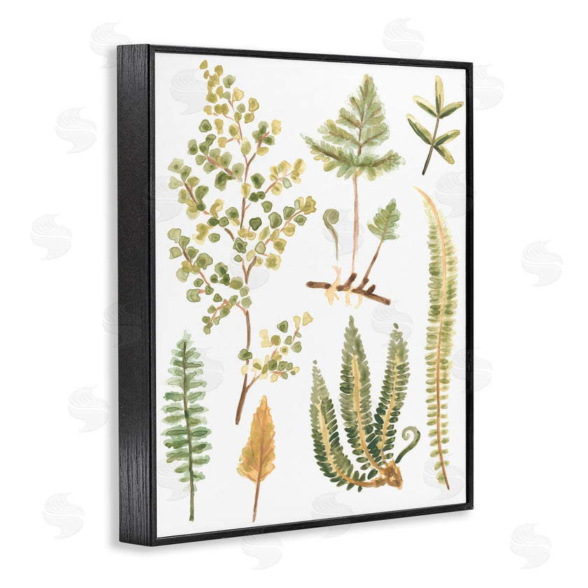June Erica Vess | Wild Forest Ferns