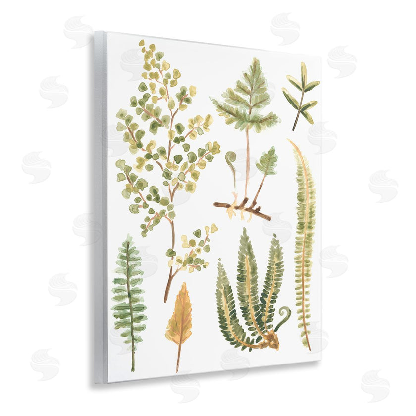 June Erica Vess | Wild Forest Ferns