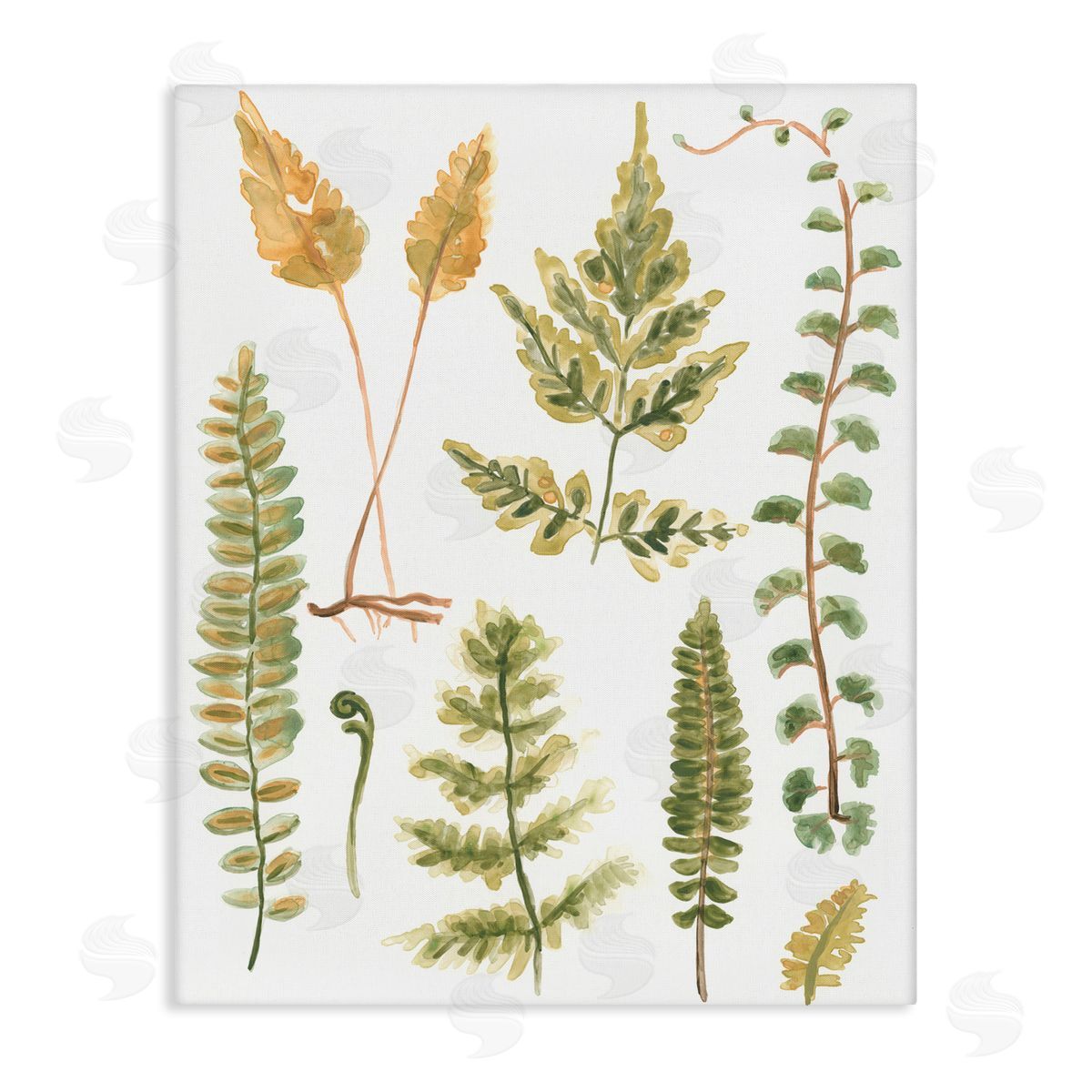 Varied Fern Leaves Canvas Wall Art, Home Decor by June Erica Vess