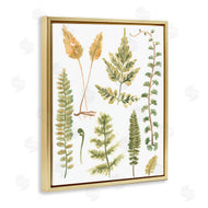 June Erica Vess | Varied Fern Leaves