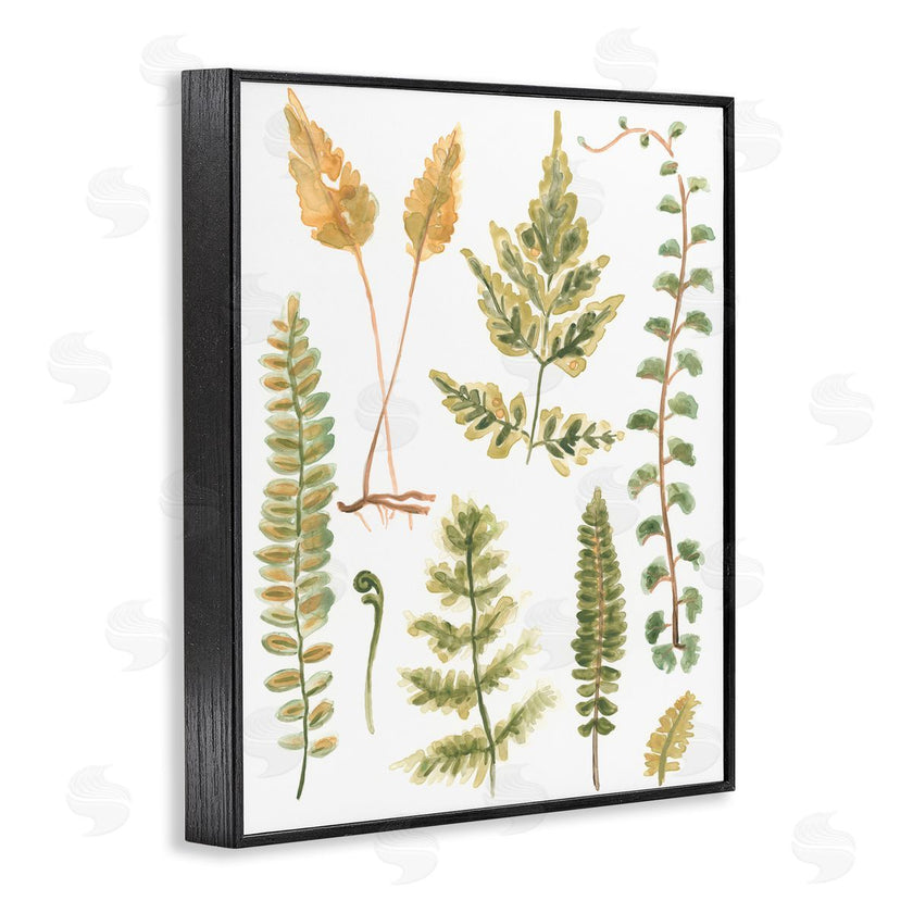 June Erica Vess | Varied Fern Leaves